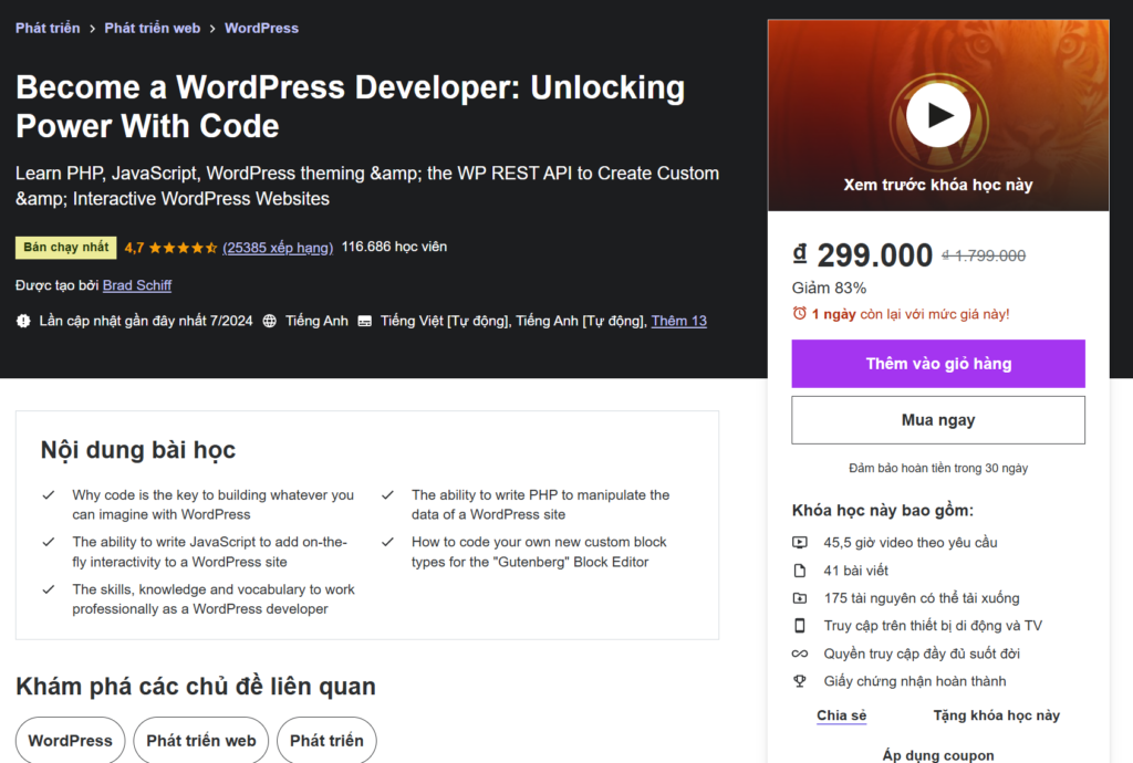 Become a WordPress Developer: Unlocking Power With Code