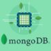 MongoDB - The Complete Developer's Guide