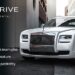 Limousine and Car Rental Theme
