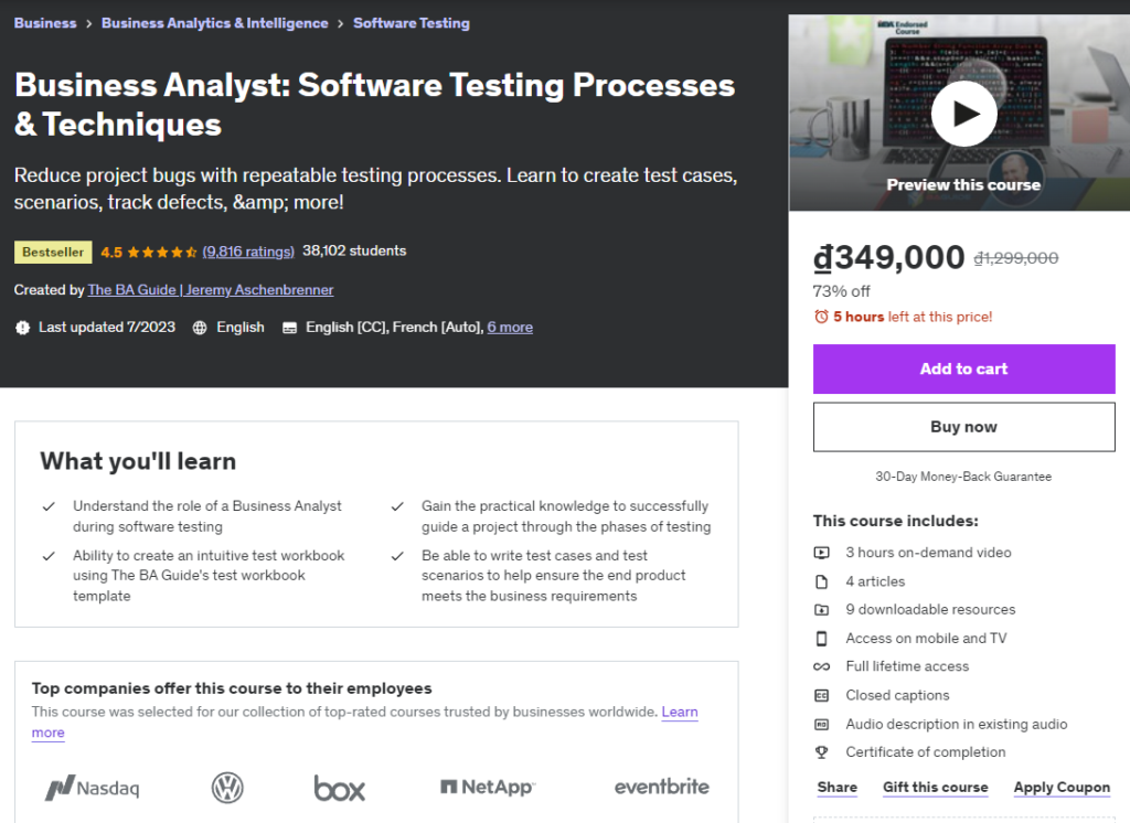 Business Analyst Software Testing Processes & Techniques