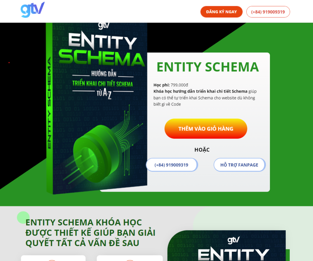 ENTITY SCHEMA - Hướng dẫn triển khai chi tiết Schema từ A-Z - GTVSEO