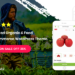 Food WooCommerce WordPress Theme