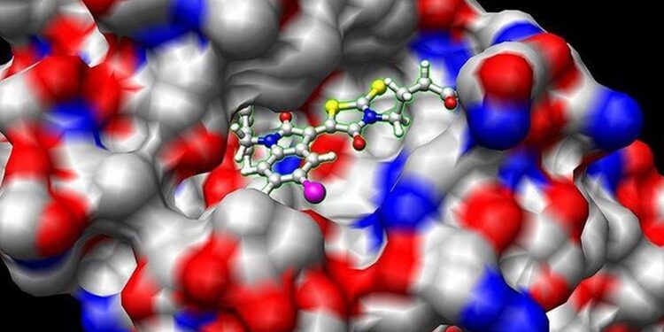 Bioinformatics; Learn Docking & Mol Dynamics Simulation