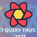 React query thực chiến