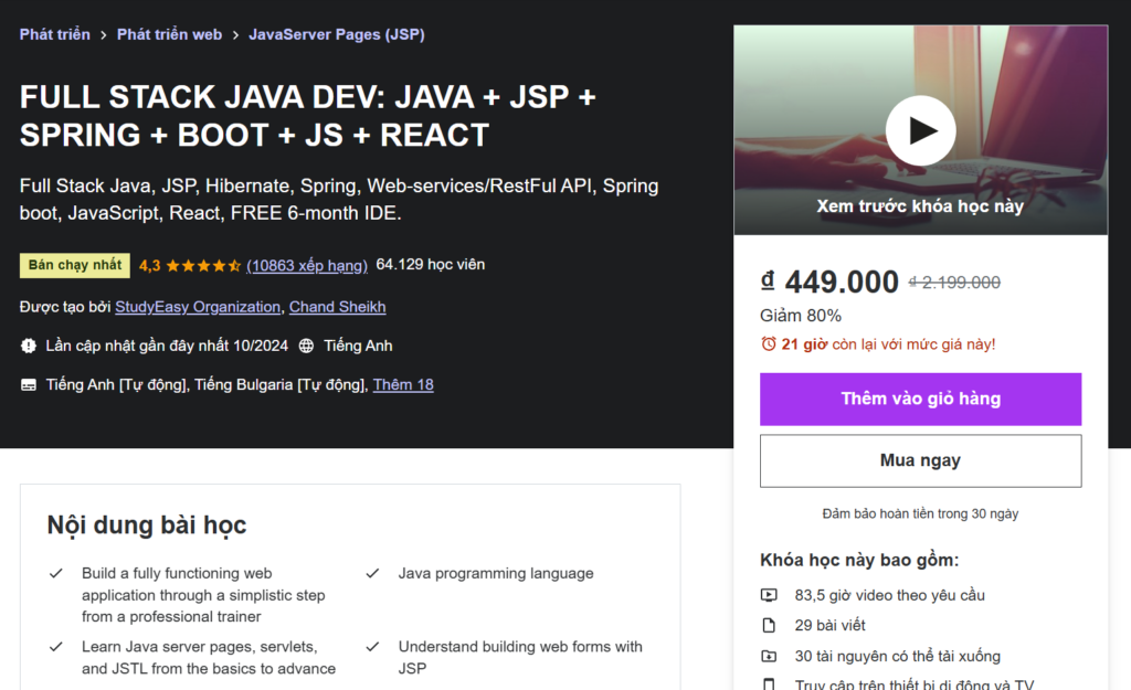 FULL STACK JAVA DEV