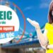TOEIC thần tốc dành cho người mất gốc